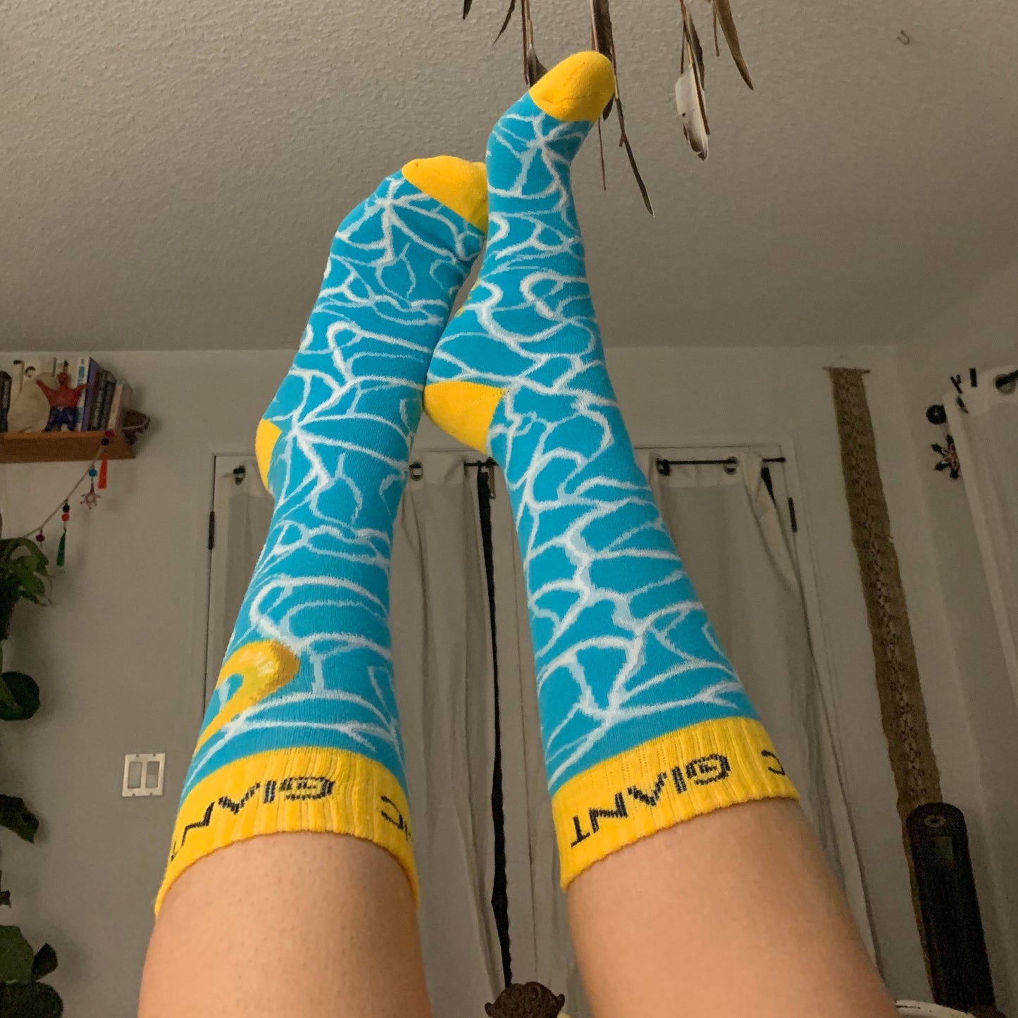 Disaster Party Socks