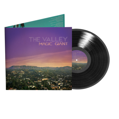 The Valley Vinyl