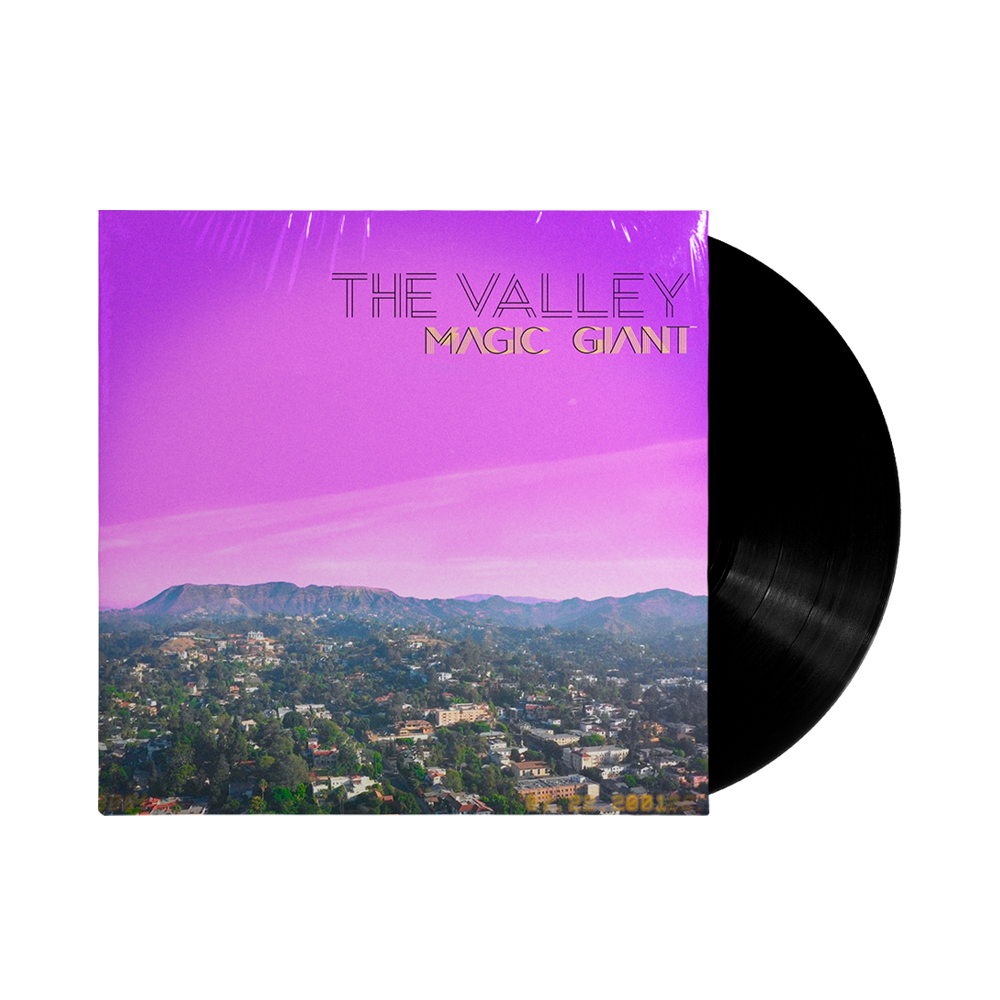 The Valley Vinyl