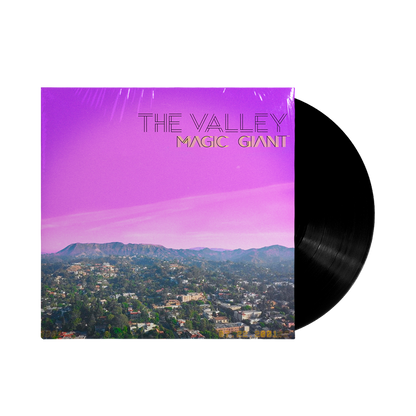 The Valley Vinyl